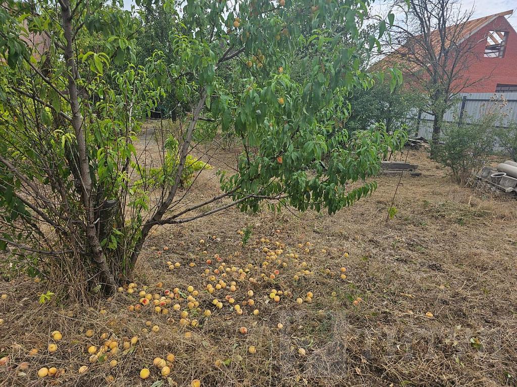 трехкомнатный домрайон  Фото 40