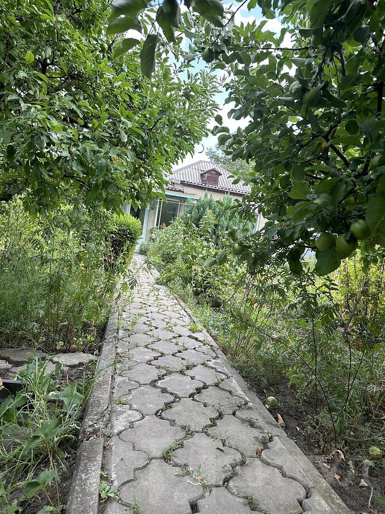 домрайон  Фото 1
