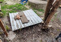 Thumb medium a9165fb72cac719eb412b5954014267f
