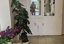 Thumb medium 0b99915f6dcabba05e0d362cf4e824a2