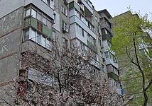 Thumb medium cdc1e4b34aaac5d06ed532eee5133355