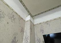 Thumb medium f066790e9843c142b210838bc75808de