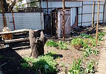 Thumb medium 2088d6bd2f1263ca125073f458183232