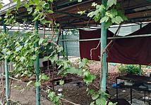 Thumb medium f8e676a0bcdae96ef40d3082d0f18f18
