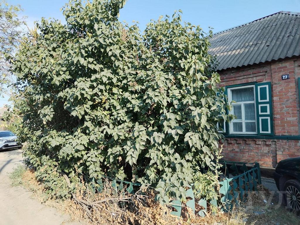 трехкомнатный домрайон  Фото 26