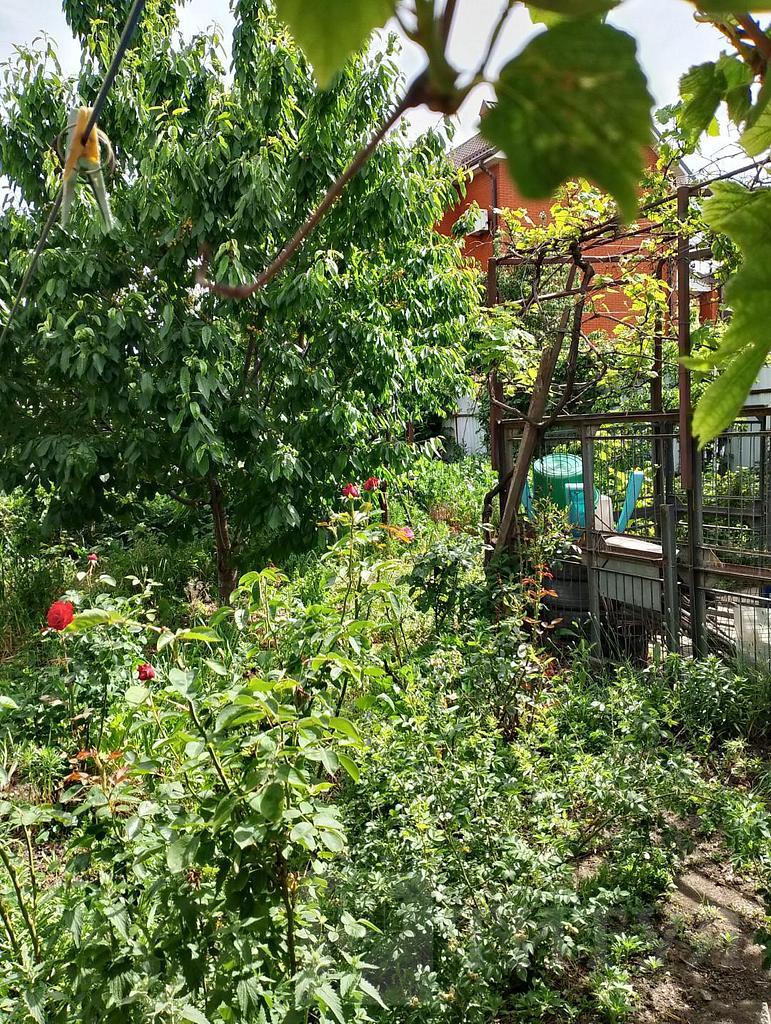 трехкомнатный домрайон  Фото 29