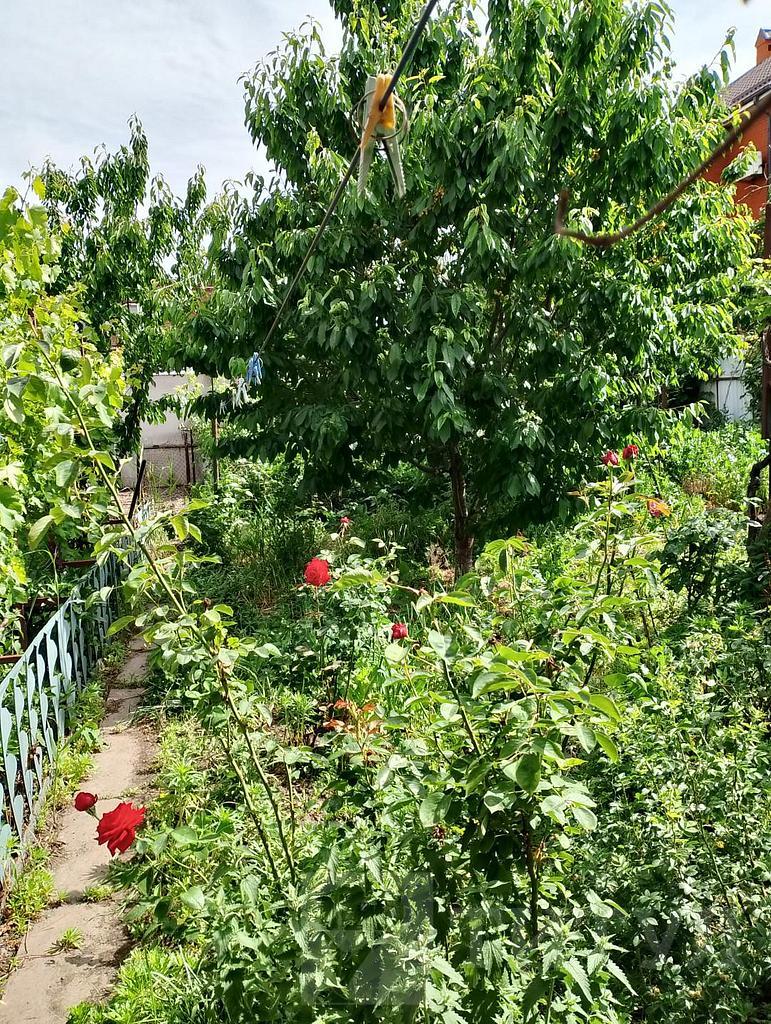 трехкомнатный домрайон  Фото 31