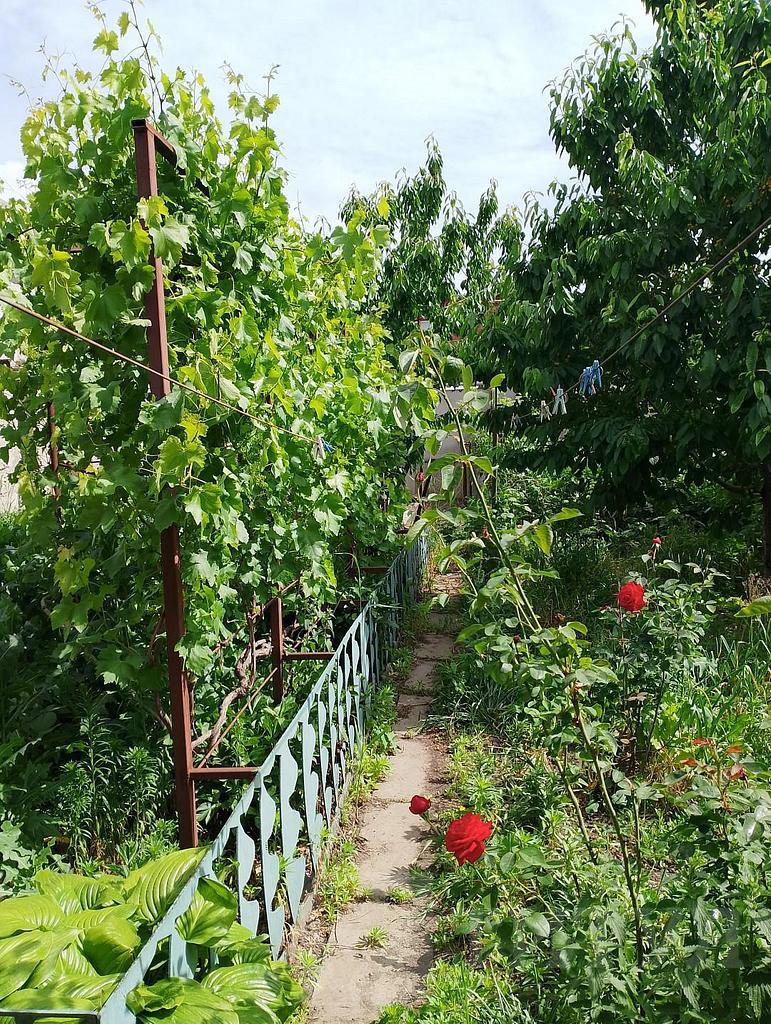 трехкомнатный домрайон  Фото 30