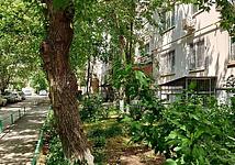 Thumb medium 4cf71ca4f5345280331593e19d206024