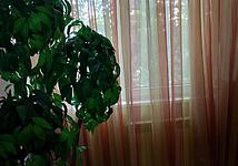 Thumb medium 1a4cfc4f548480d0d7b878bb3a46486a