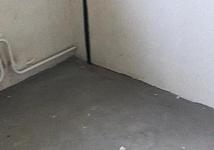 Thumb medium 4635d87e2db47a3d46bdae8be6872437