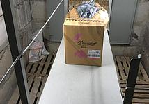 Thumb medium 6bf8ff201cea4d0c5255b5471392bc65