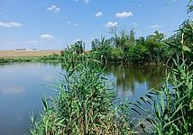 Thumb medium 0f30f841208357d00737fb46aef33329