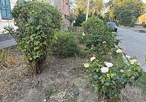 Thumb medium ca10524d01717b0e190cf1ec83145f8d