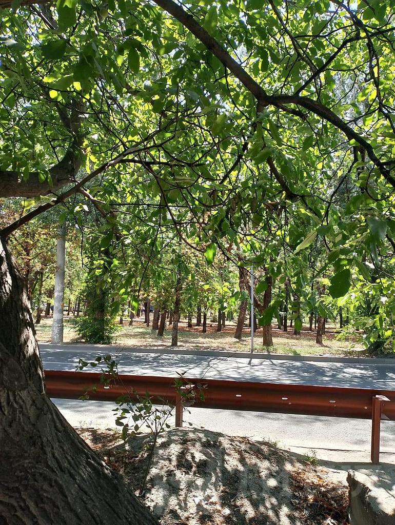 двухкомнатный домрайон  Фото 41