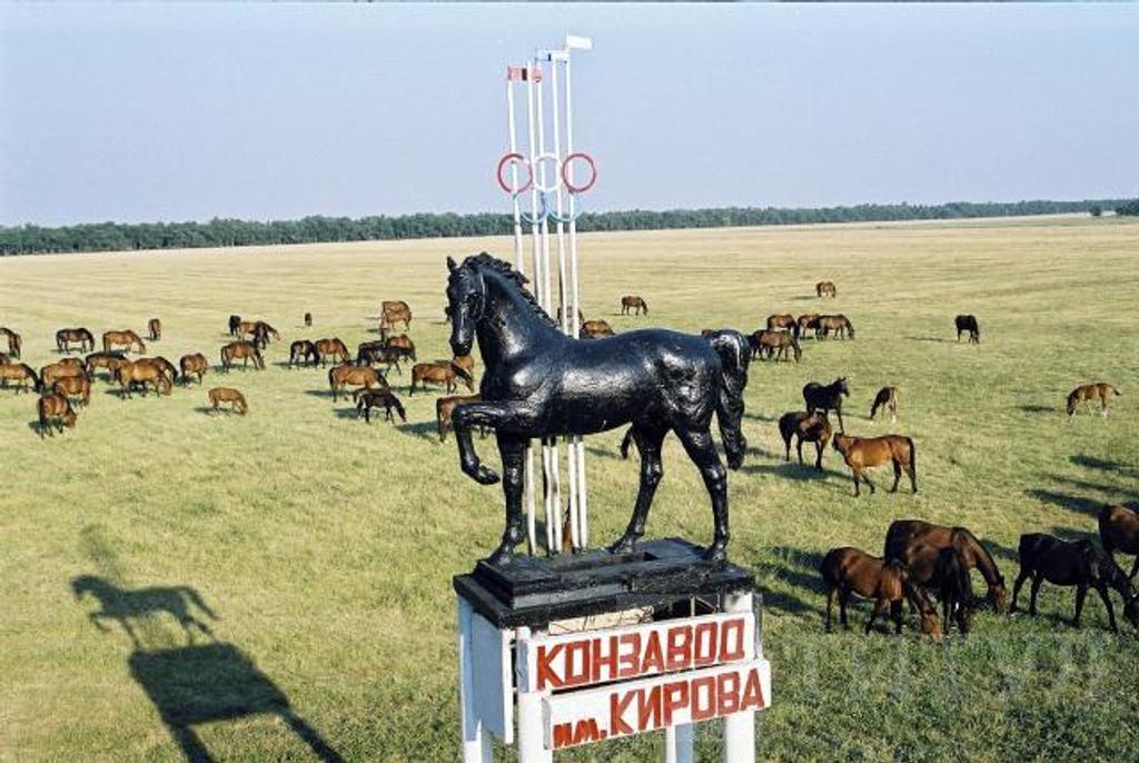трехкомнатный домрайон Фото 2