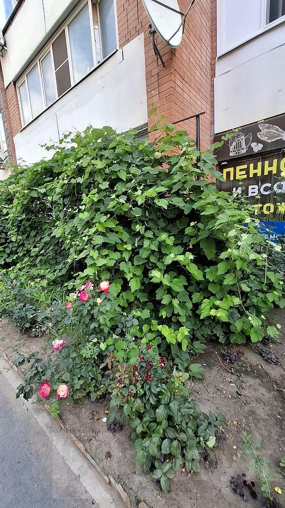 двухкомнатная квартираСЖМ, район  Фото 30