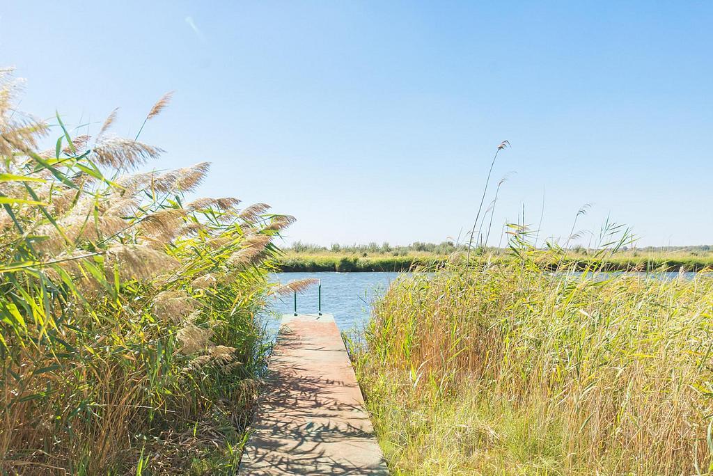 трехкомнатный домрайон  Фото 33