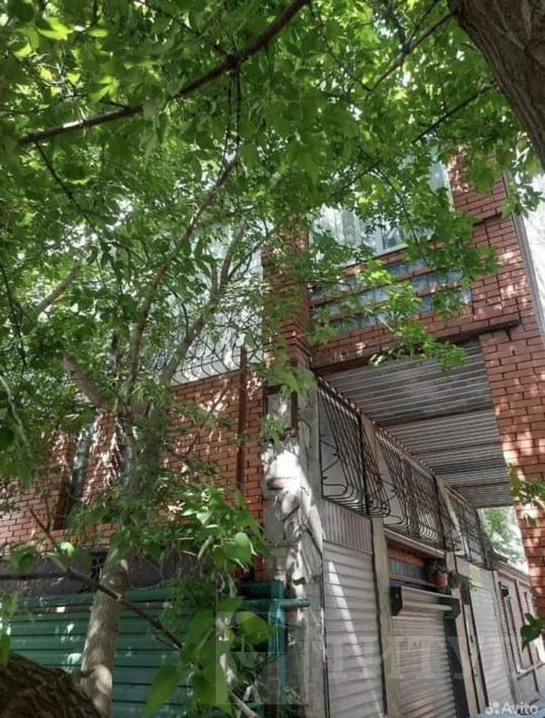 домрайон  Фото 6