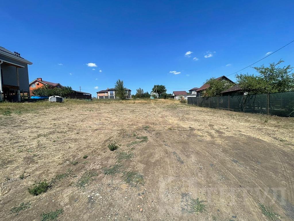 домрайон Фото 3