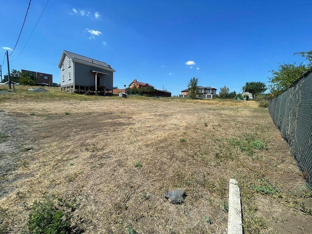 домрайон Фото 2