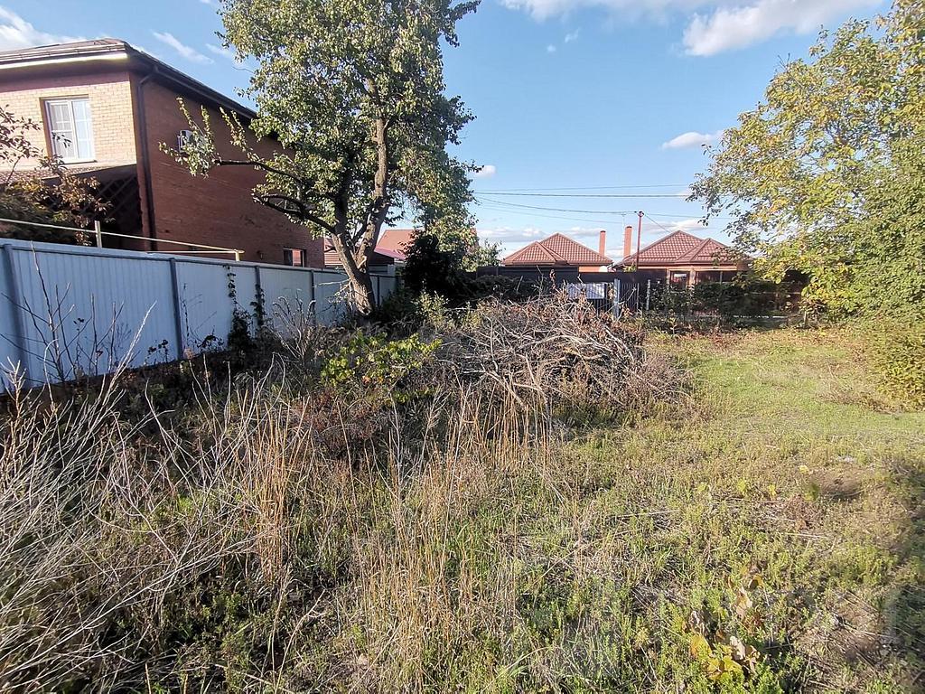 домрайон  Фото 18