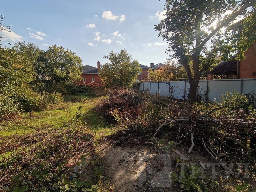 домрайон  Фото 16