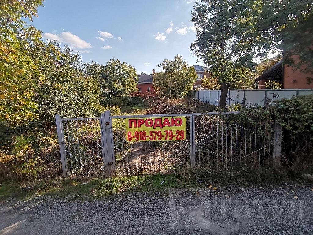 домрайон  Фото 2