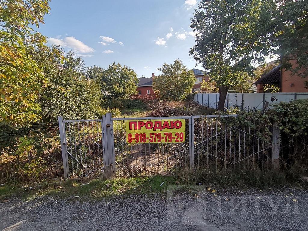 домрайон  Фото 15