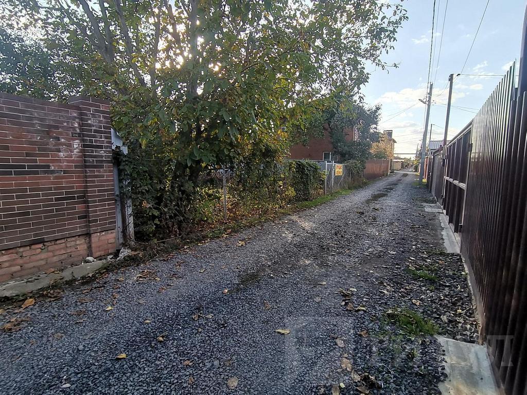 домрайон  Фото 13