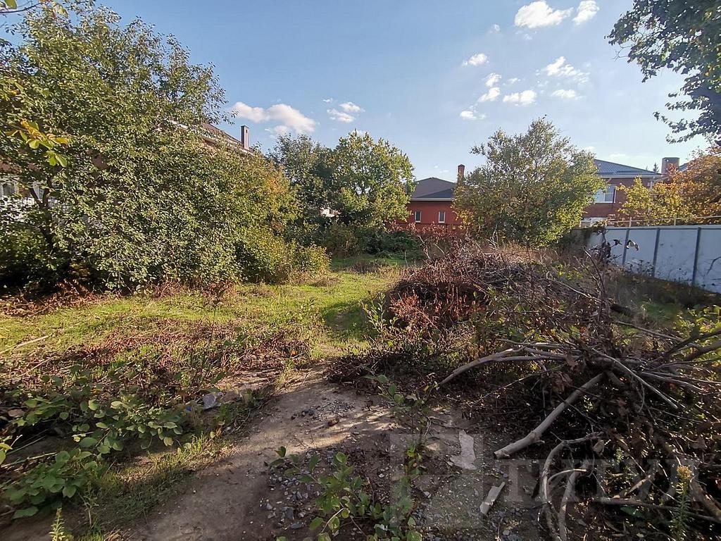 домрайон  Фото 12