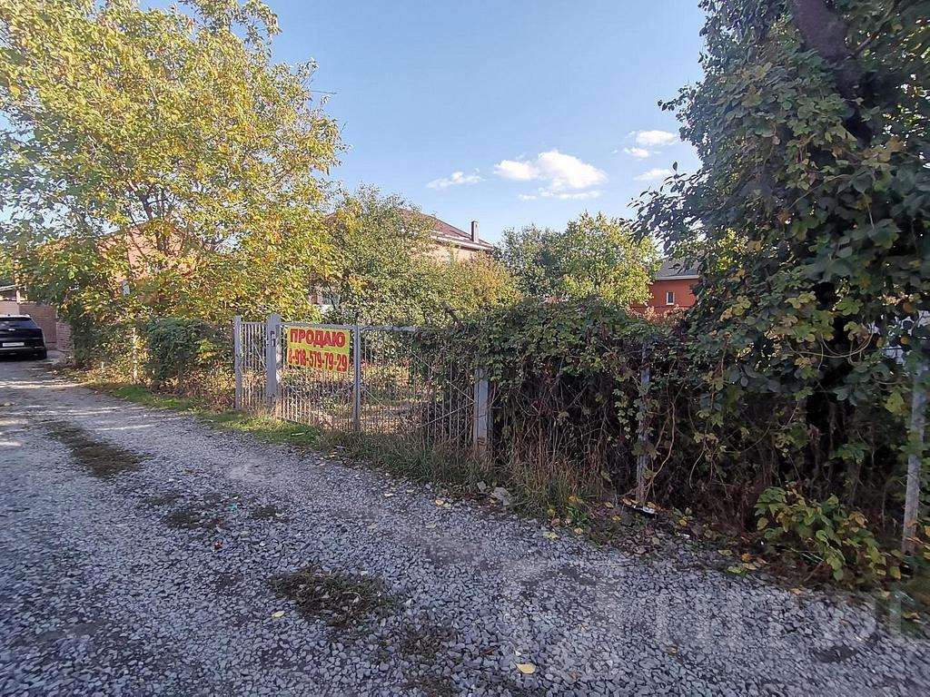 домрайон  Фото 11