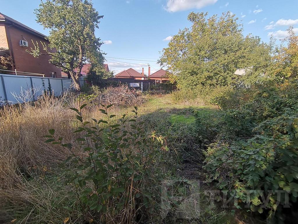 домрайон  Фото 14