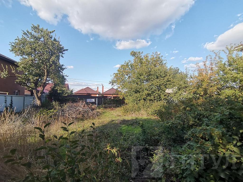 домрайон  Фото 9