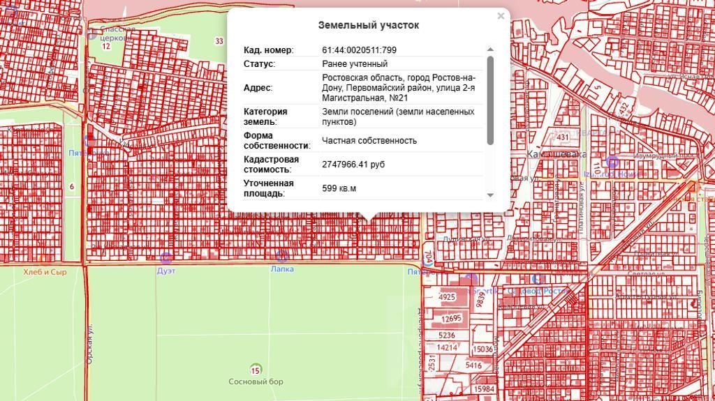 домрайон  Фото 4