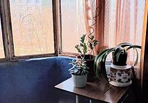 Thumb medium 736bb4aeca223780a41052949d012512