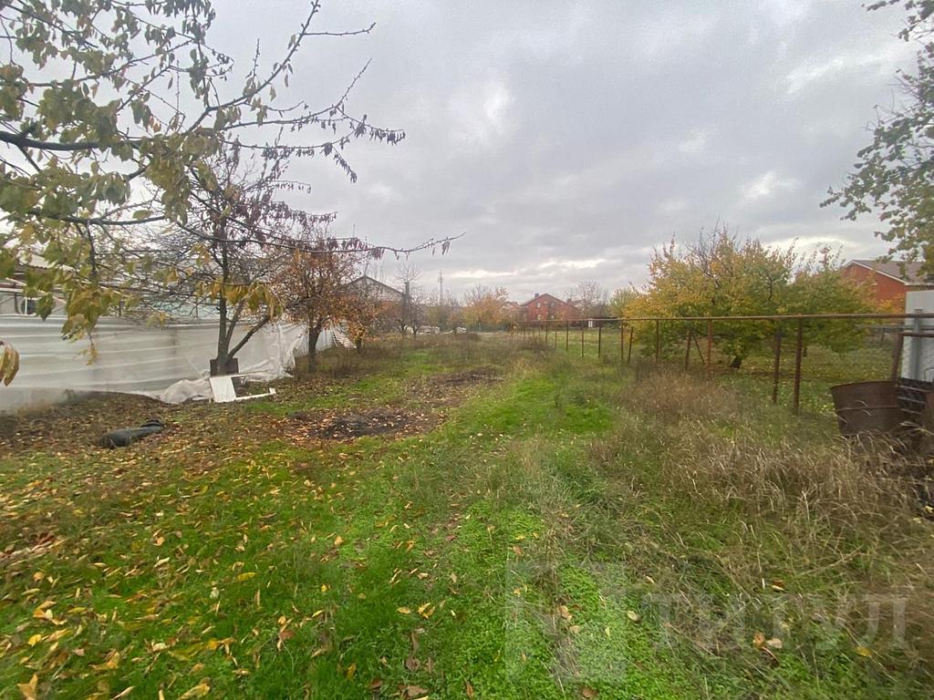 домрайон  Фото 10