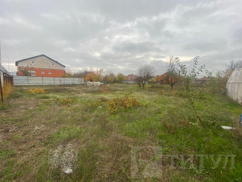 домрайон  Фото 3