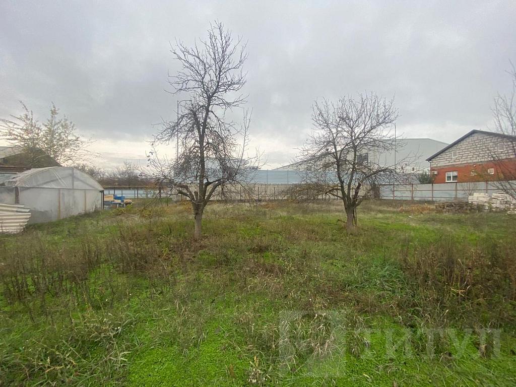 домрайон  Фото 9