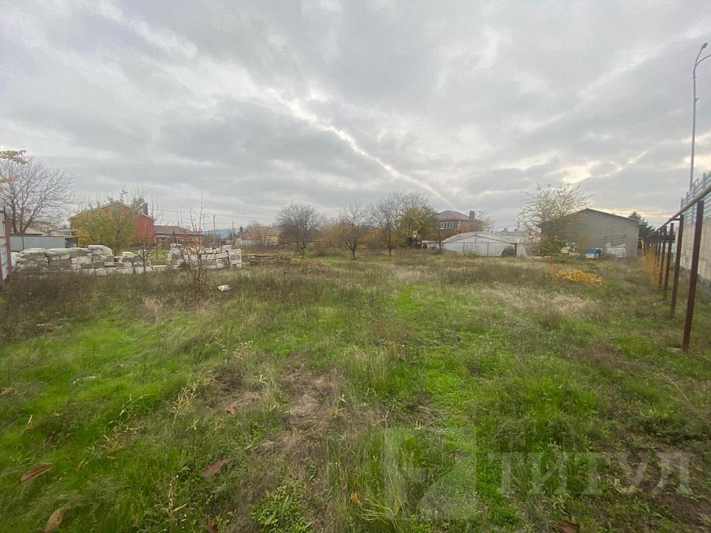 домрайон  Фото 8