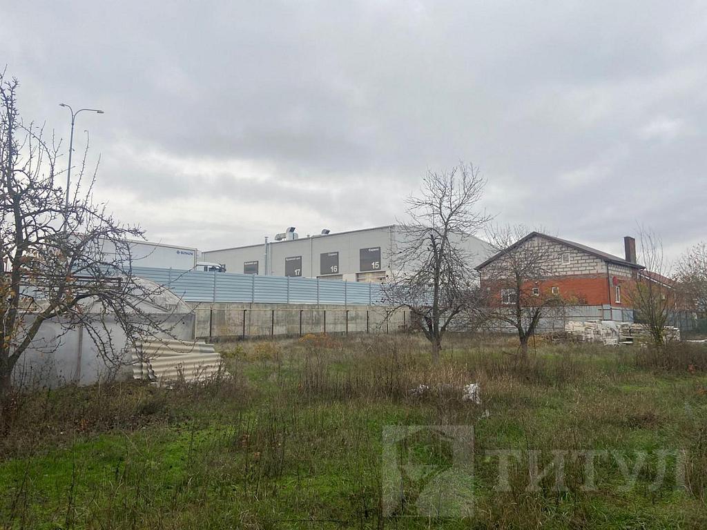 домрайон  Фото 7