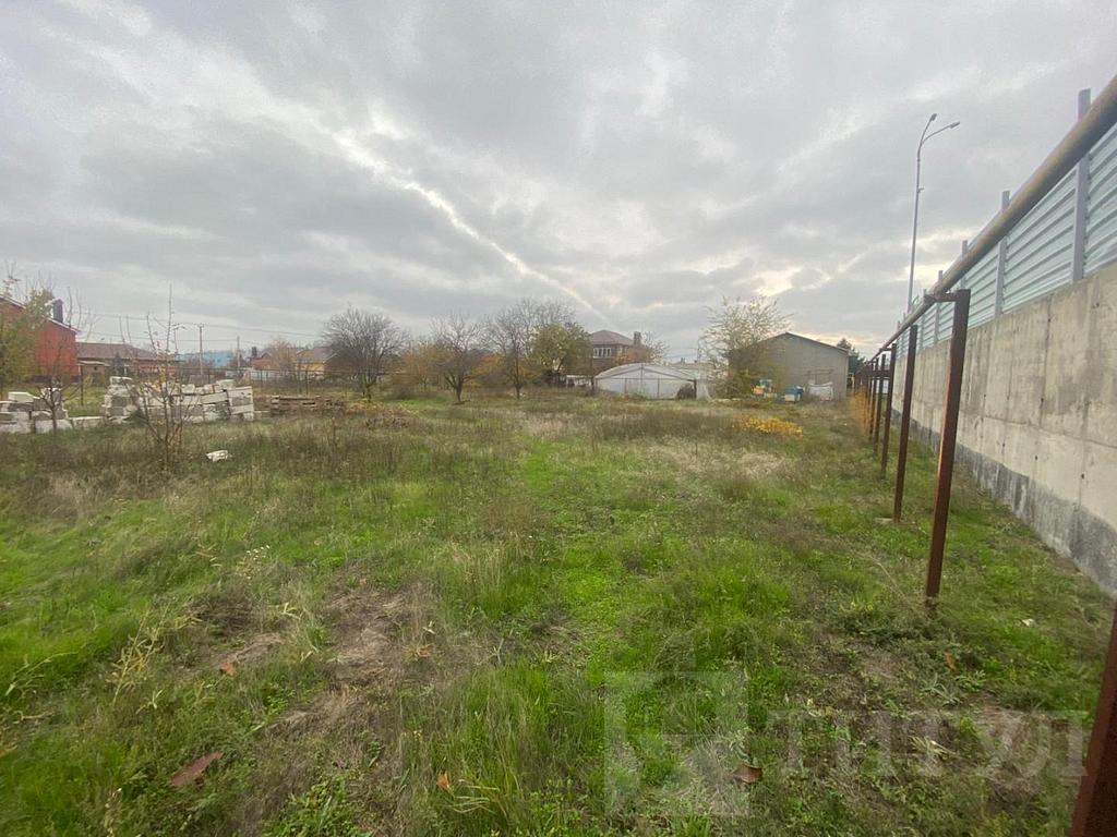 домрайон  Фото 5