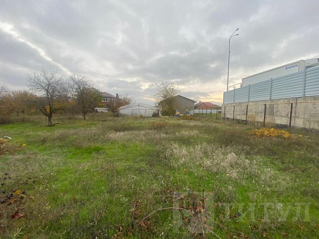 домрайон  Фото 4