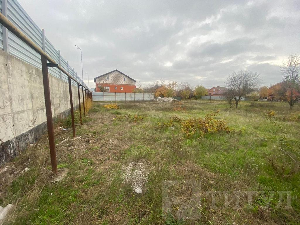 домрайон  Фото 2