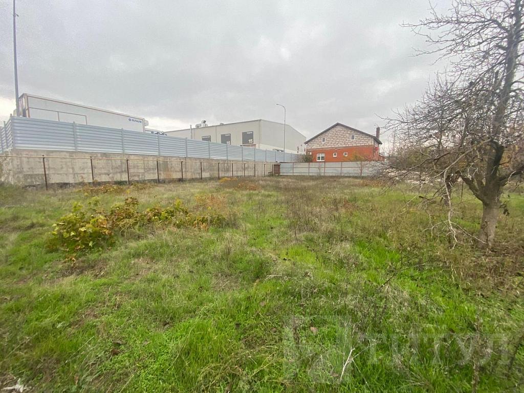 домрайон  Фото 1