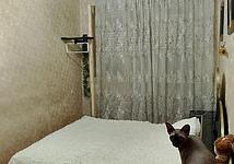 Thumb medium 2aa630d85e05df22e72390d6f02afc47