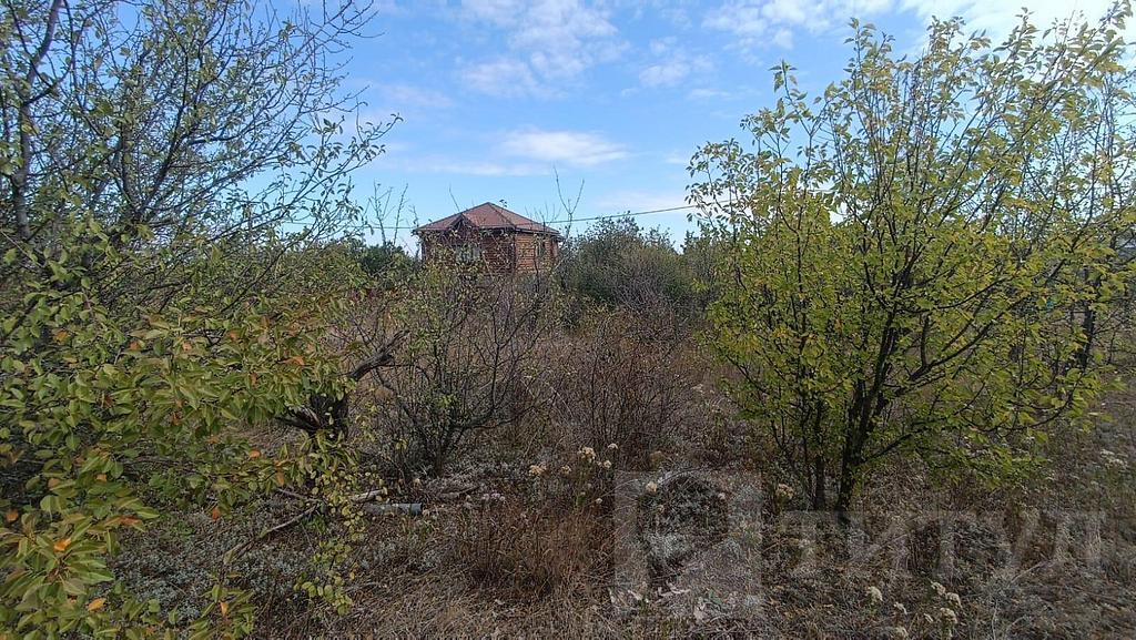 домрайон Фото 13