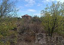 Thumb medium fad4f88b512cd93ffb7e404e52983374