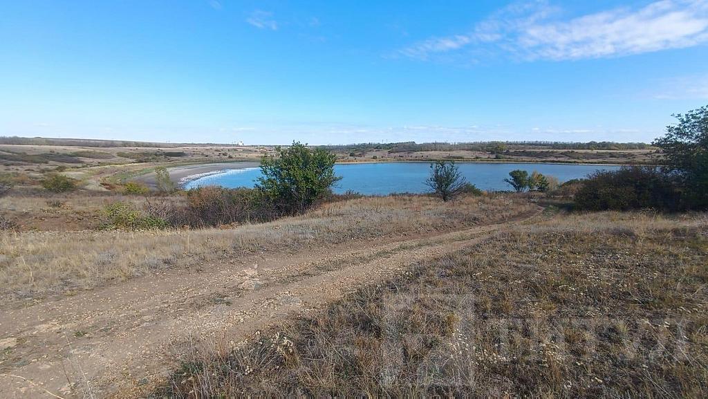 домрайон Фото 9