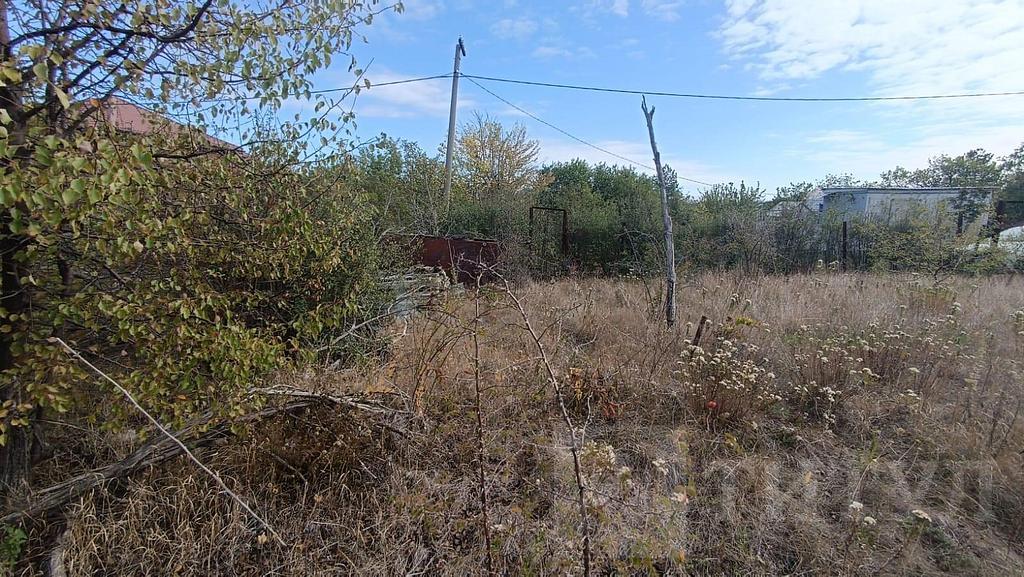 домрайон Фото 5